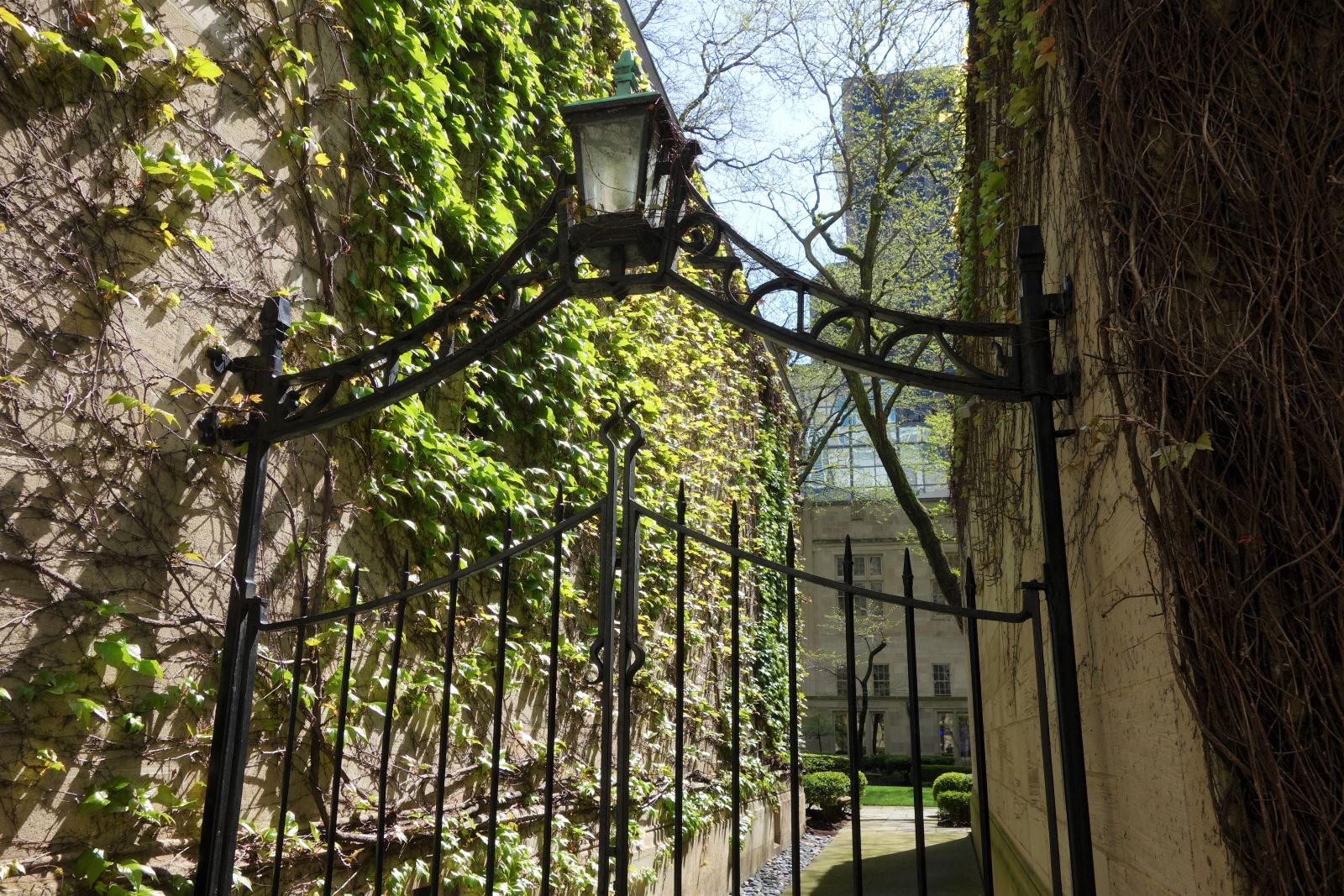 Students walking through a law school building